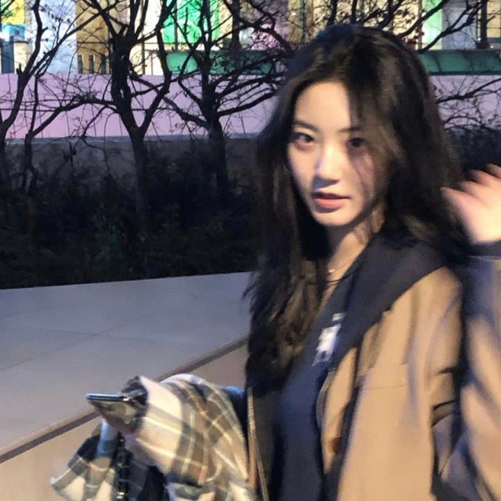 爱与森林